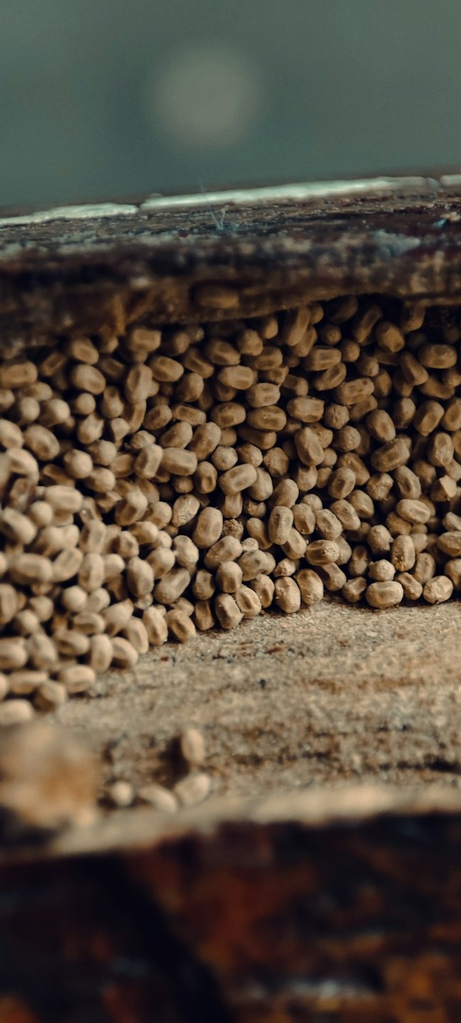 A dense pile of small brown granules stacked on wood.