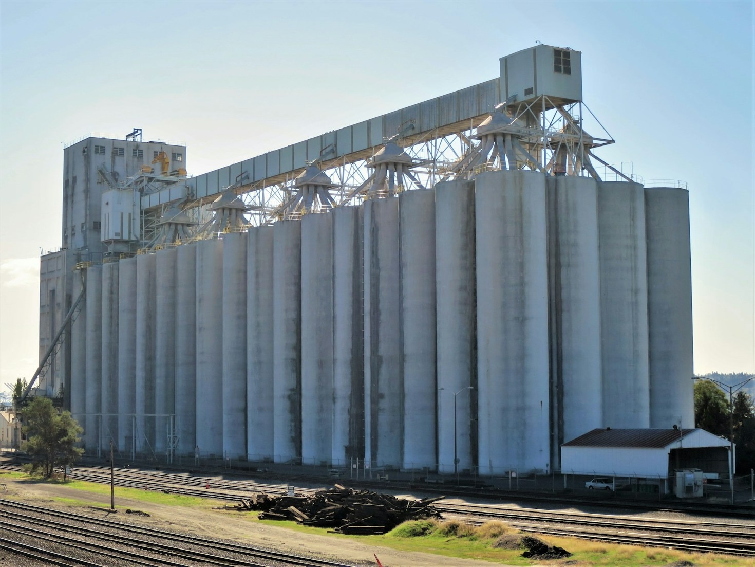 How Sustainable Animal Nutrition Lowers Farm Emissions