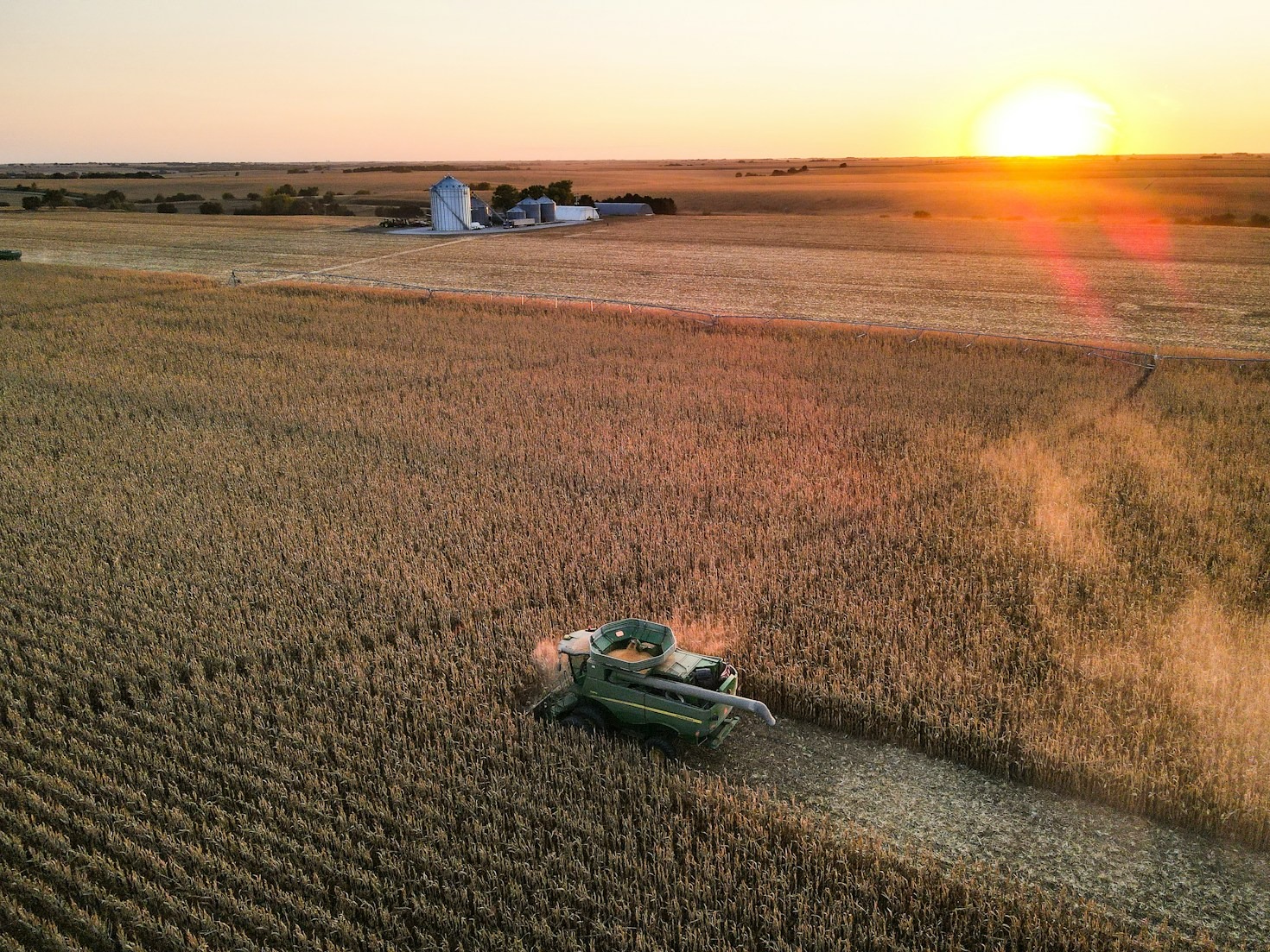 Strict Safety Protocols: Preventing Contaminants in Bulk Feed